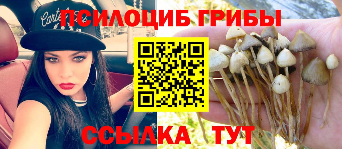 Галлюциногенные грибы Cubensis Бердск